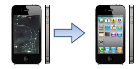 Service iPhone Hardware Service iPhone Hardware